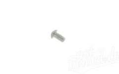 kerbnagel-fuer-typenschild-simson-10030-00S.jpg