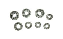 set-skf-kugellager-fuer-rollermotor-rm150-sr59-rm1501-8-teil