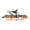MEFO